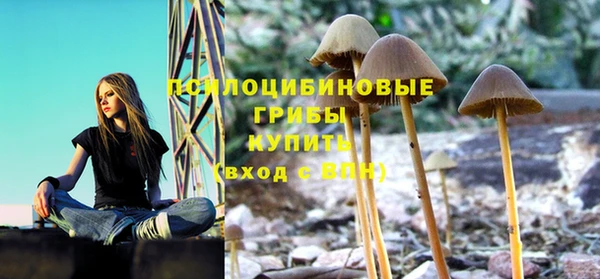 мет Абинск